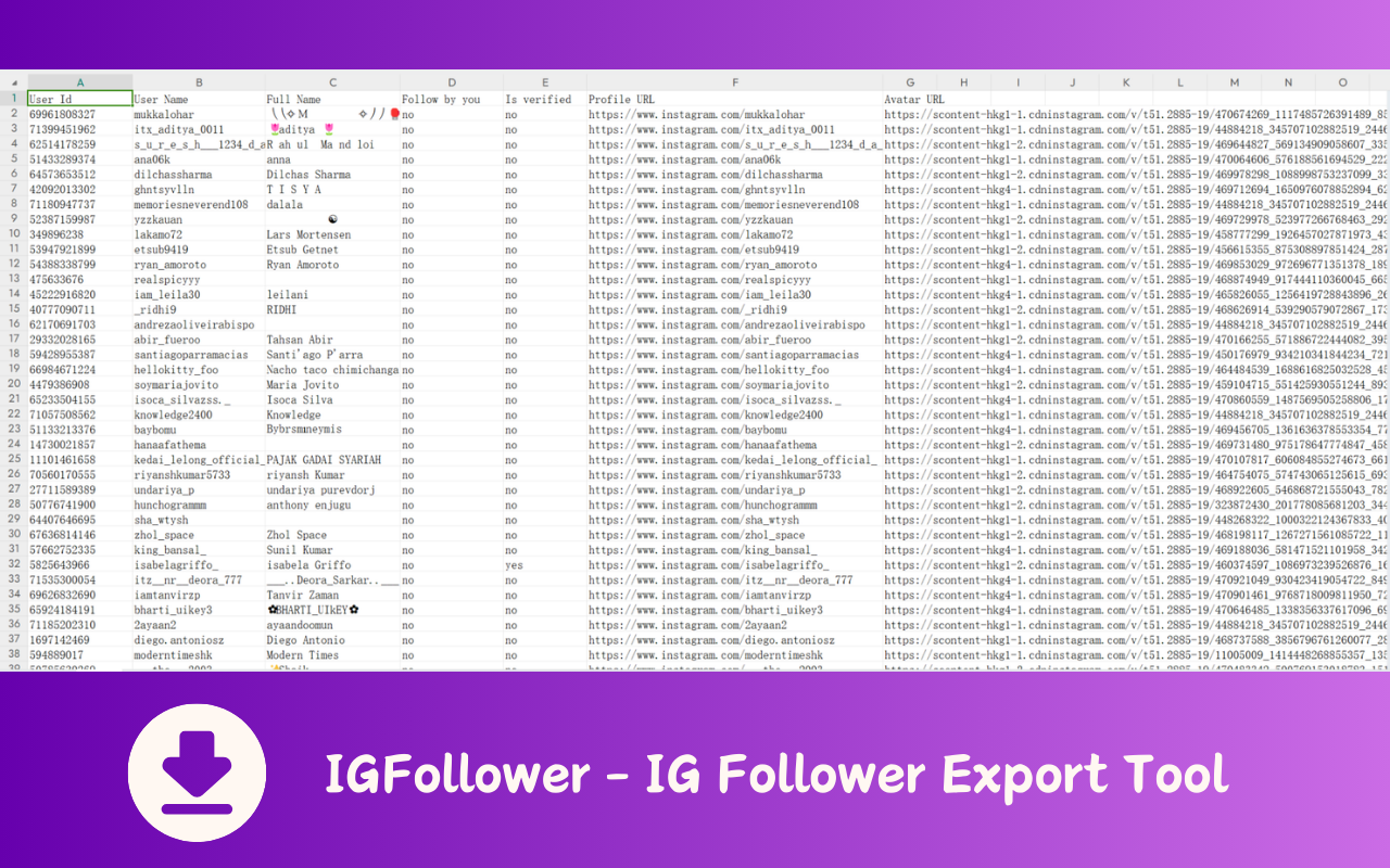 IGFollower - IG Follower Export Tool